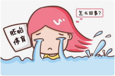 好好的胚胎怎么就停育了呢？