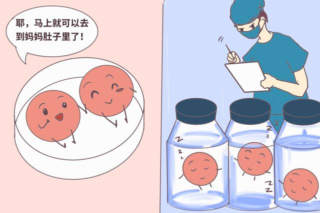 哪些胚胎可用于移植？了解下！